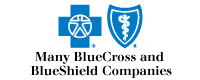 Blue Cross Blue Shield
